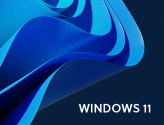 PROJEKT PRO und Windows 11